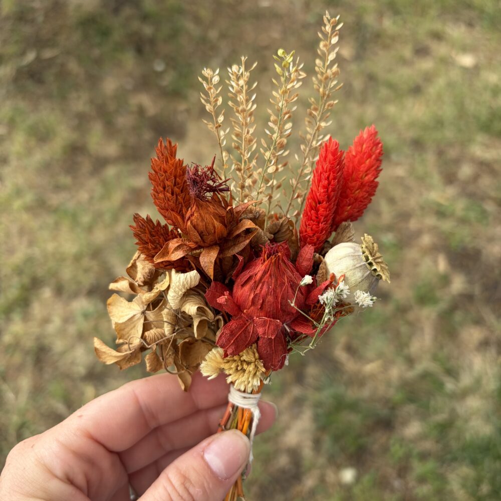 Mini ramos de flores secas - ROJO