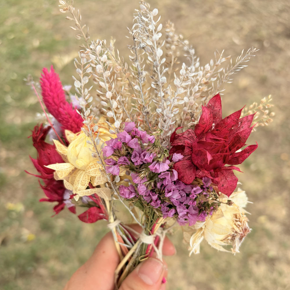 Mini ramos de flores secas - ROSA